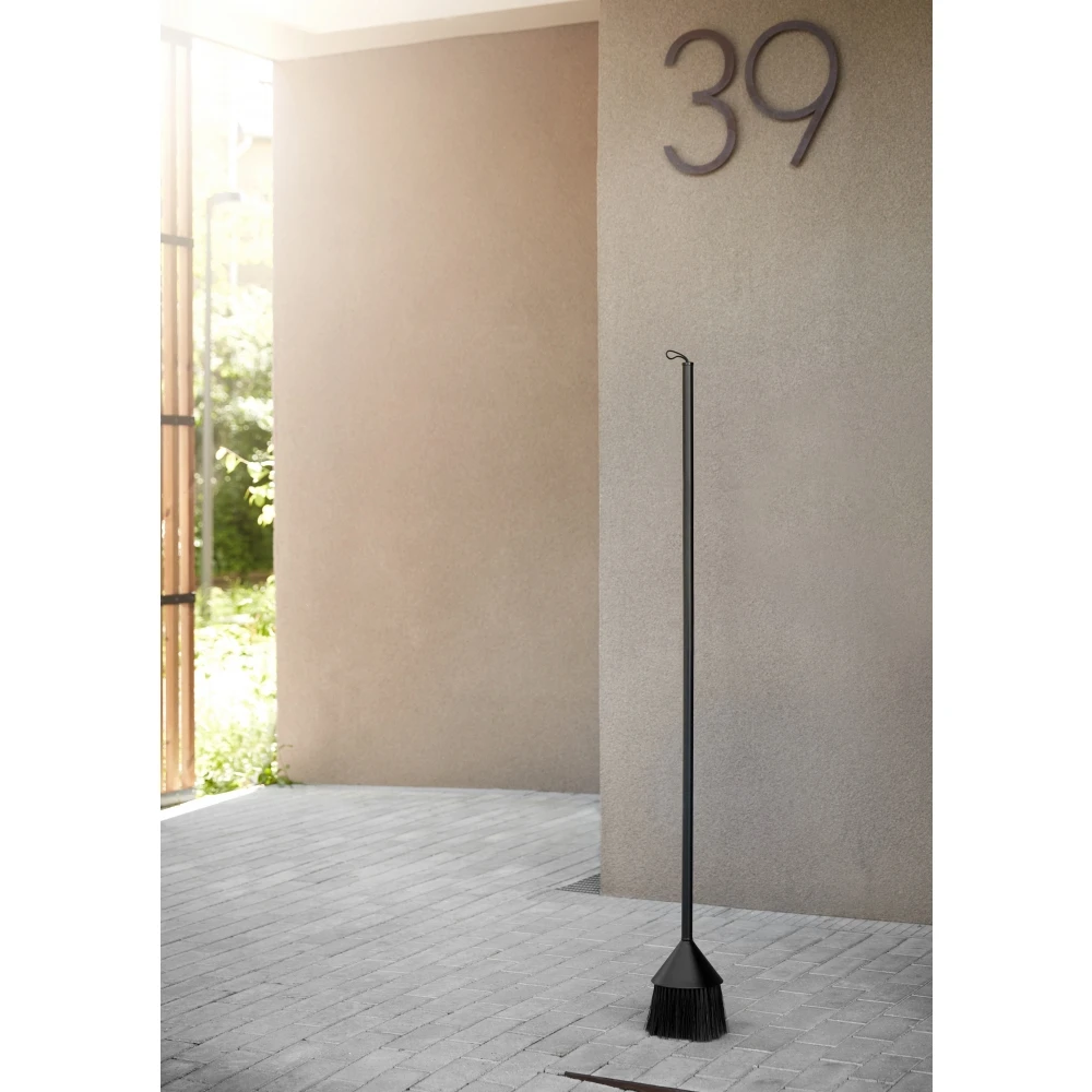 Northern Mim Besen – Bild 2