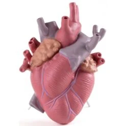 Seletti Love In Bloom Color Heart Vase