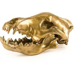 Seletti Diesel Wunderkammer Wolf Skull Deko