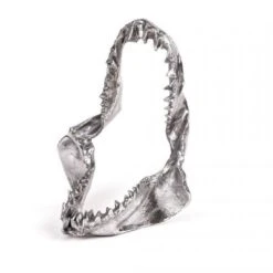 Seletti Diesel Wunderkammer Hai Kiefer Deko