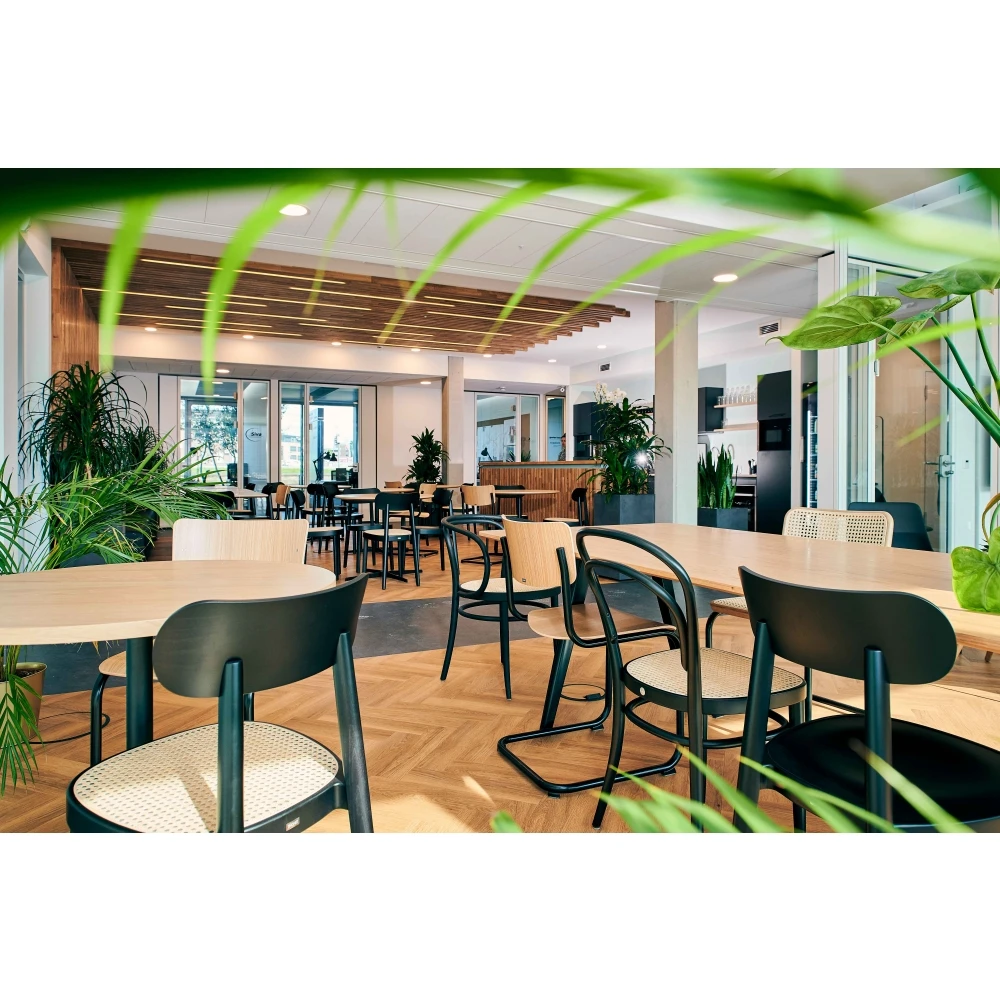 Thonet 214 Bugholzstuhl – Bild 4